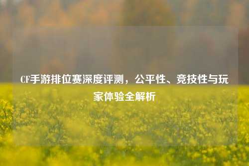 CF手游排位赛深度评测,公平性、竞技性与玩家体验全解析