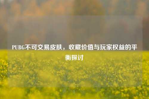 PUBG不可交易皮肤,收藏价值与玩家权益的平衡探讨