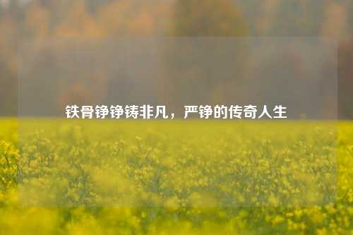 铁骨铮铮铸非凡,严铮的传奇人生