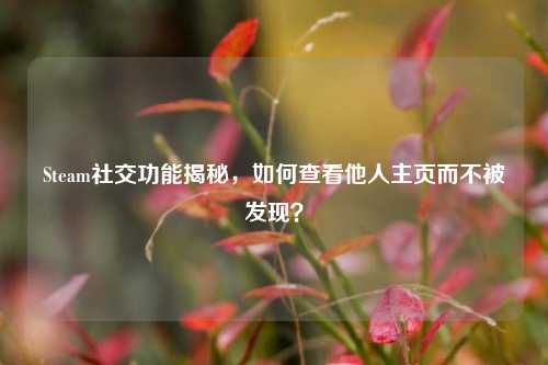 Steam社交功能揭秘,如何查看他人主页而不被发现?