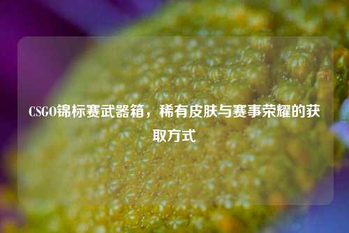 CSGO锦标赛武器箱,稀有皮肤与赛事荣耀的获取方式