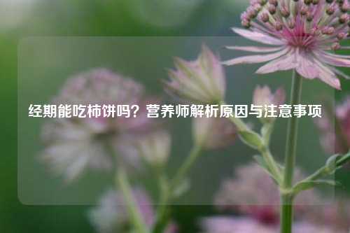经期能吃柿饼吗?营养师解析原因与注意事项