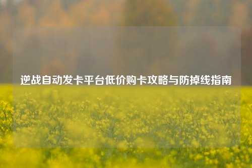 逆战自动发卡平台低价购卡攻略与防掉线指南