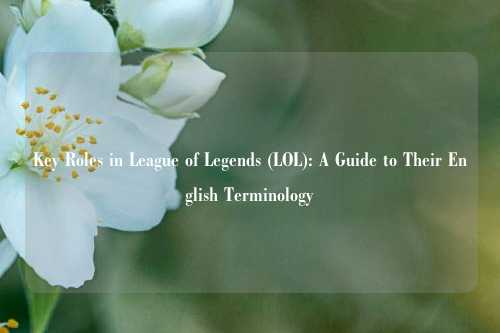 Key Roles in League of Legends (LOL): A Guide to Their English Terminology