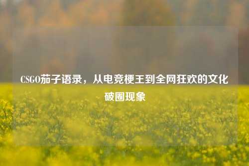 CSGO茄子语录,从电竞梗王到全网狂欢的文化破圈现象