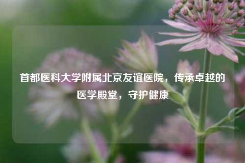 首都医科大学附属北京友谊医院,传承卓越的医学殿堂,守护健康