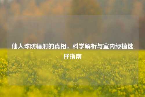 仙人球防辐射的真相,科学解析与室内绿植选择指南