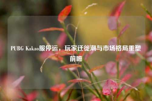 PUBG Kakao服停运,玩家迁徙潮与市场格局重塑前瞻