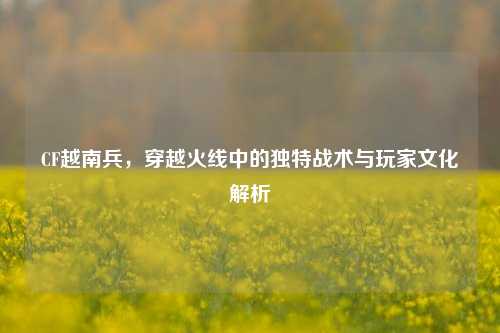 CF越南兵,穿越火线中的独特战术与玩家文化解析
