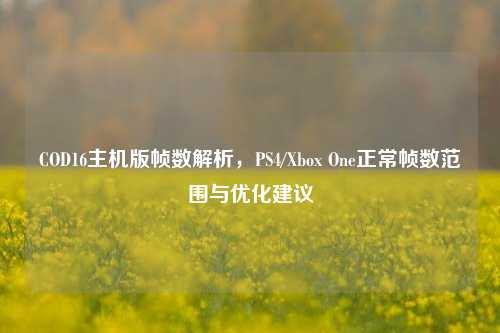 COD16主机版帧数解析,PS4/Xbox One正常帧数范围与优化建议