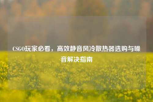CSGO玩家必看,高效静音风冷散热器选购与噪音解决指南