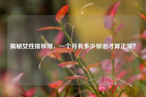揭秘女性排卵期,一个月有多少卵泡才算正常?