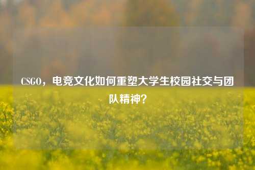 CSGO,电竞文化如何重塑大学生校园社交与团队精神?