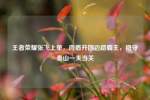 王者荣耀张飞上单,肉盾开团边路霸主,稳守泰山一夫当关