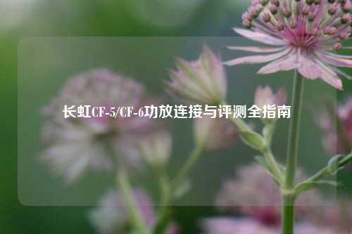 长虹CF-5/CF-6功放连接与评测全指南