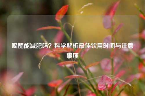 喝醋能减肥吗?科学解析更佳饮用时间与注意事项