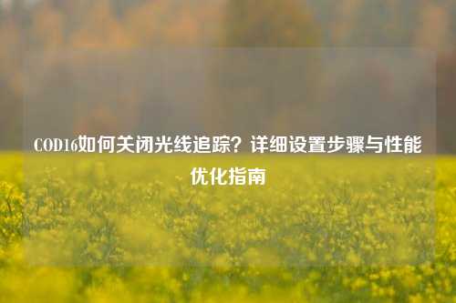 COD16如何关闭光线追踪?详细设置步骤与性能优化指南