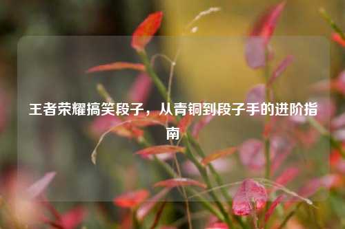 王者荣耀搞笑段子,从青铜到段子手的进阶指南