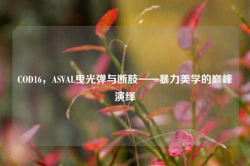COD16,ASVAL曳光弹与断肢——暴力美学的巅峰演绎