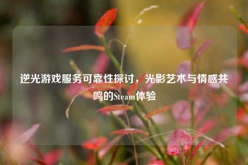 逆光游戏服务可靠性探讨,光影艺术与情感共鸣的Steam体验