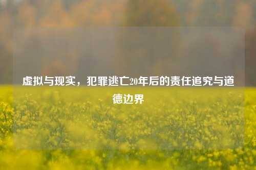 虚拟与现实,犯罪逃亡20年后的责任追究与道德边界