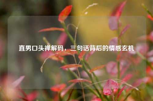 直男口头禅解码,三句话背后的情感玄机