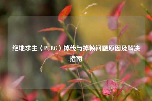 绝地求生(PUBG)掉线与掉帧问题原因及解决指南