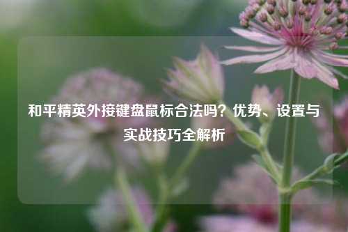 和平精英外接键盘鼠标合法吗?优势、设置与实战技巧全解析