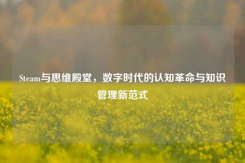 Steam与思维殿堂,数字时代的认知革命与知识管理新范式