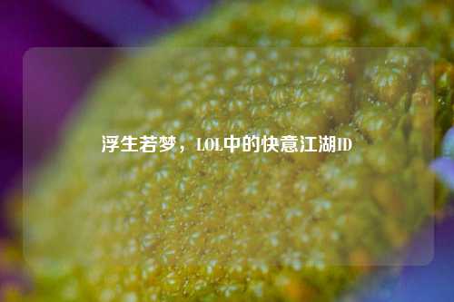 浮生若梦,LOL中的快意江湖ID