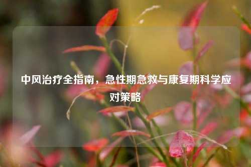 中风治疗全指南,急性期急救与康复期科学应对策略