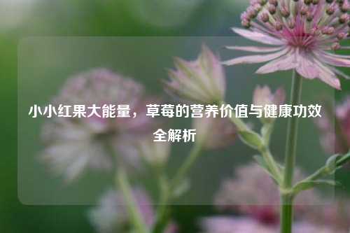 小小红果大能量,草莓的营养价值与健康功效全解析