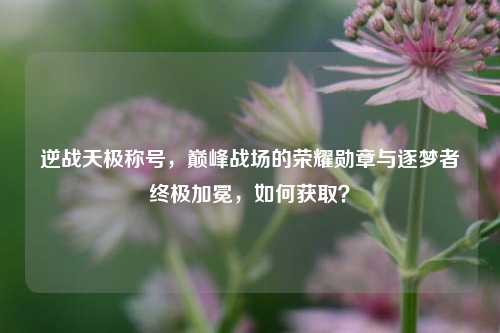 逆战天极称号,巅峰战场的荣耀勋章与逐梦者终极加冕,如何获取?