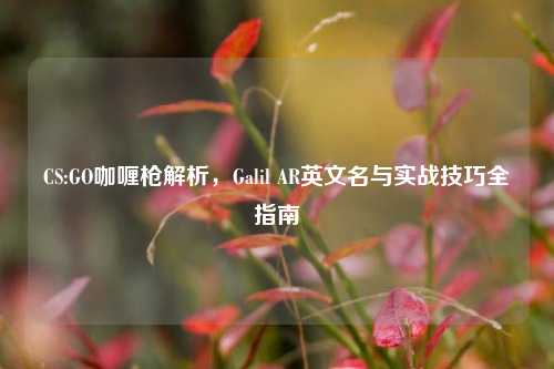 CS:GO咖喱枪解析,Galil AR英文名与实战技巧全指南