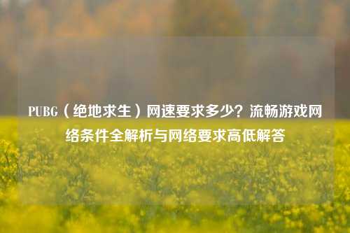 PUBG（绝地求生）网速要求多少？流畅游戏网络条件全解析与网络要求高低解答