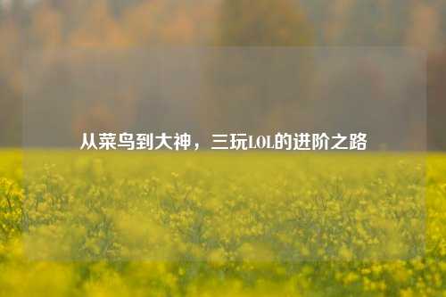 从菜鸟到大神,三玩LOL的进阶之路
