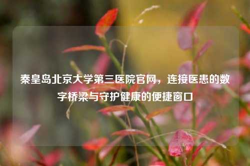 秦皇岛北京大学第三医院官网,连接医患的数字桥梁与守护健康的便捷窗口