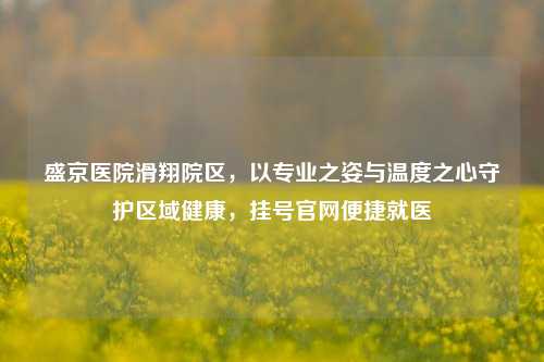 盛京医院滑翔院区,以专业之姿与温度之心守护区域健康,挂号官网便捷就医