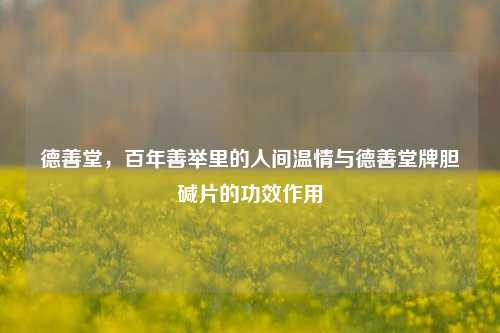 德善堂,百年善举里的人间温情与德善堂牌胆碱片的功效作用