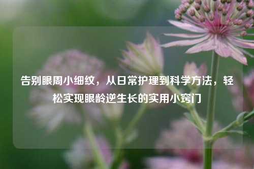 告别眼周小细纹,从日常护理到科学方法,轻松实现眼龄逆生长的实用小窍门