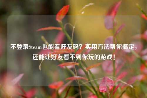 不登录Steam也能看好友码?实用 帮你搞定,还能让好友看不到你玩的游戏!
