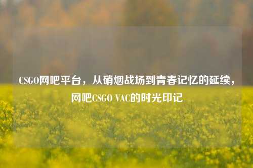 CSGO网吧平台,从硝烟战场到青春记忆的延续,网吧CSGO VAC的时光印记