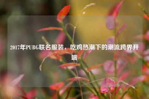 2017年PUBG联名服装,吃鸡热潮下的潮流跨界开端