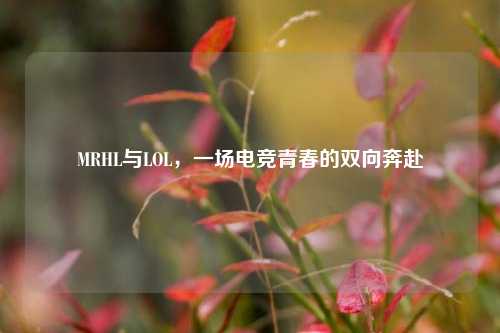 MRHL与LOL,一场电竞青春的双向奔赴