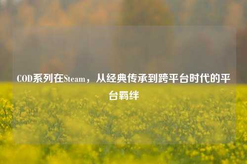 COD系列在Steam,从经典传承到跨平台时代的平台羁绊
