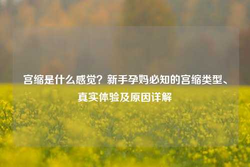 宫缩是什么感觉?新手孕妈必知的宫缩类型、真实体验及原因详解