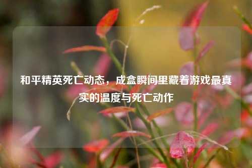 和平精英死亡动态,成盒瞬间里藏着游戏最真实的温度与死亡动作