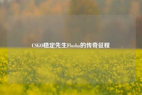CSGO稳定先生Flusha的传奇征程