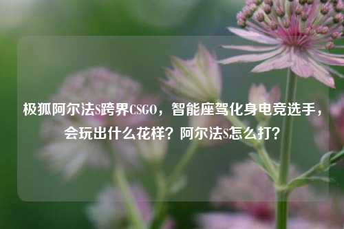 极狐阿尔法S跨界CSGO,智能座驾化身电竞选手,会玩出什么花样?阿尔法S怎么打?
