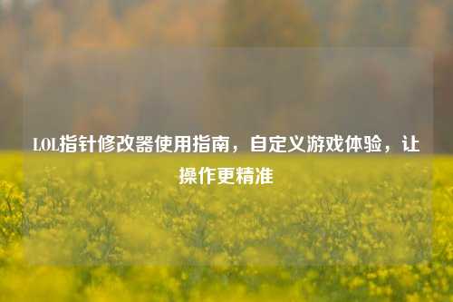 LOL指针修改器使用指南,自定义游戏体验,让操作更精准